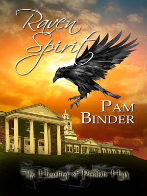 cover image of Raven Spirit